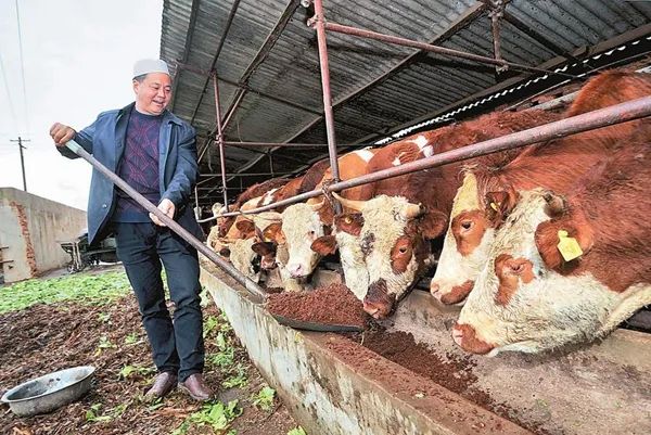 昆明市农业农村局