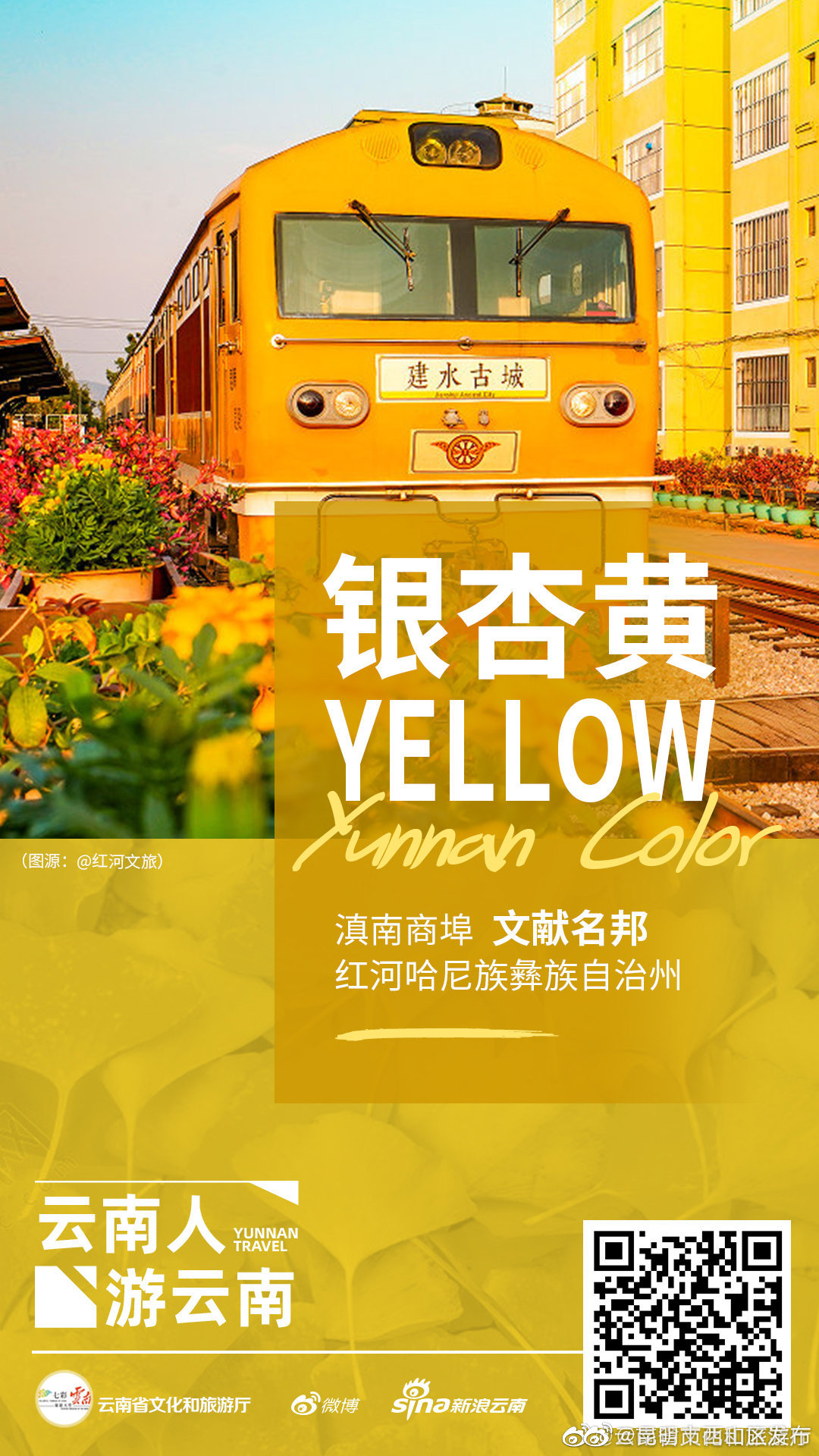 昆明市西山区发布