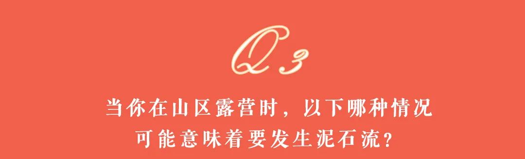 大理日报