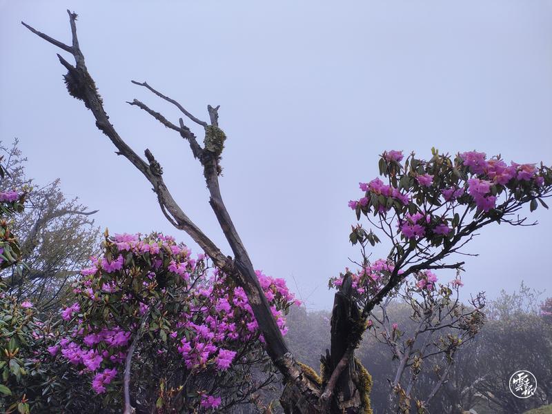 云南省文化和旅游厅