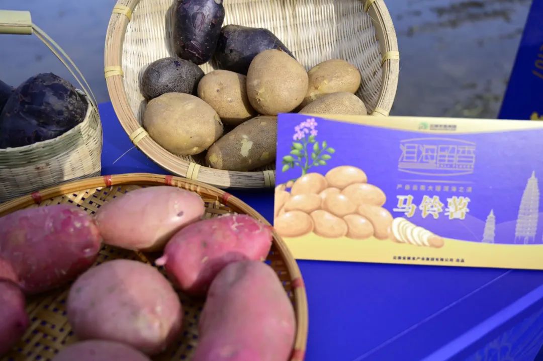 大理电视台
