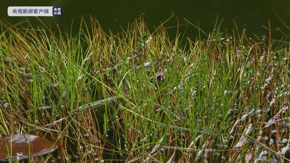 昆明信息港/cnkmxxg