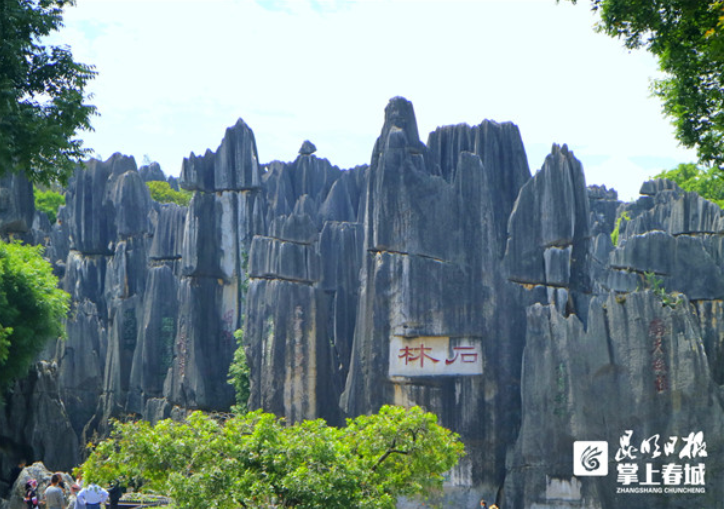 昆明信息港/cnkmxxg