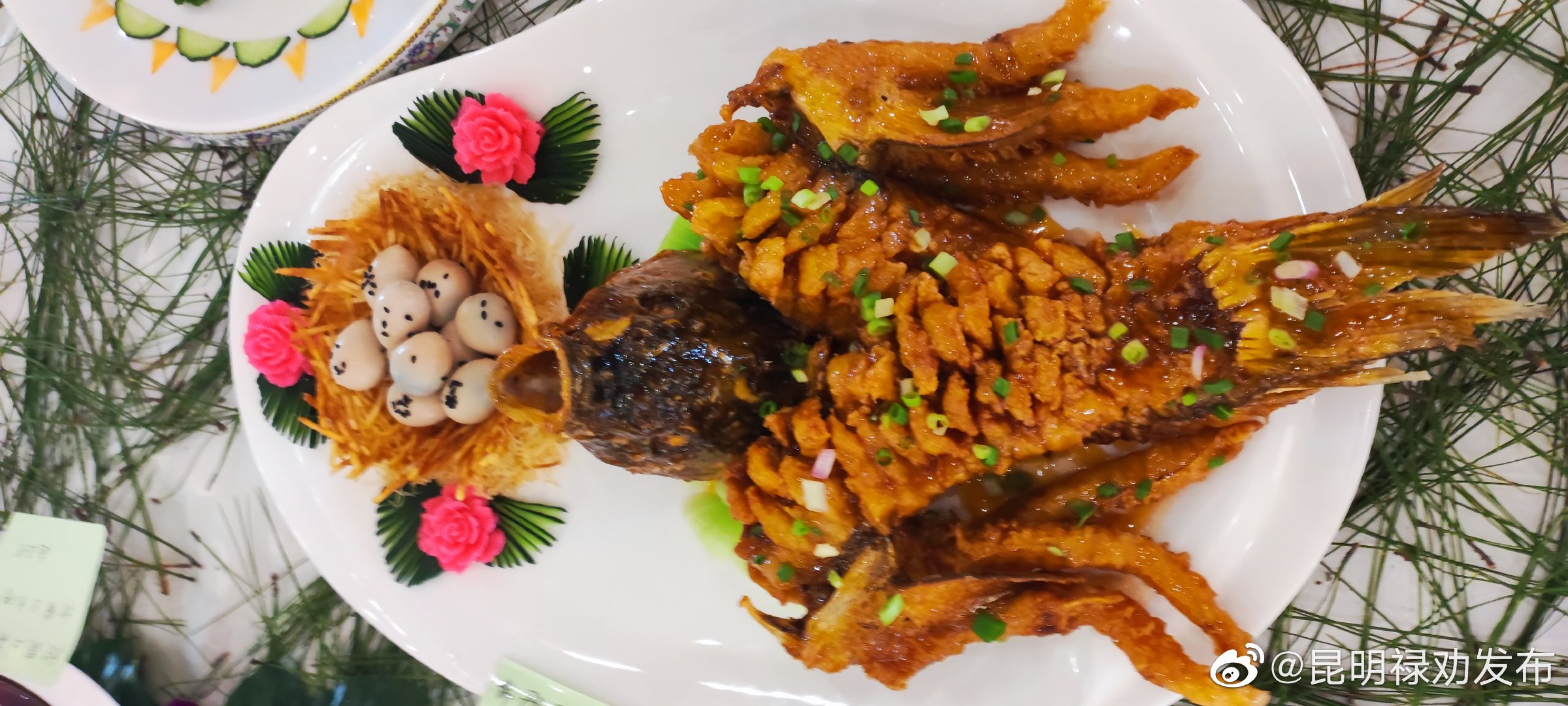 昆明禄劝发布
