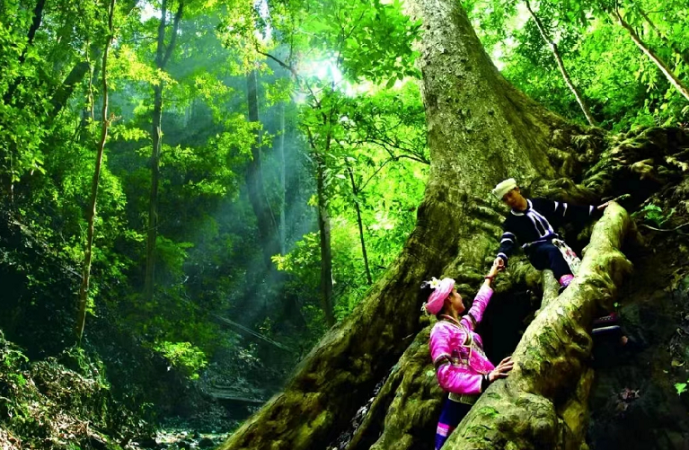 昆明信息港/cnkmxxg