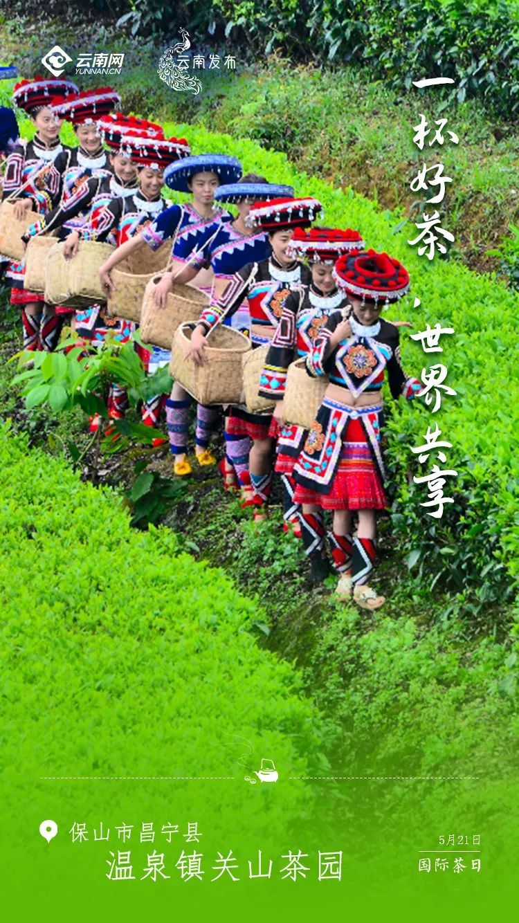 云南省文化和旅游厅