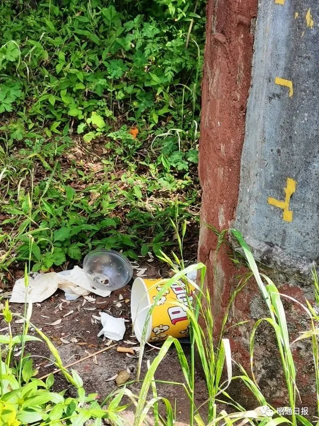 昭通日报