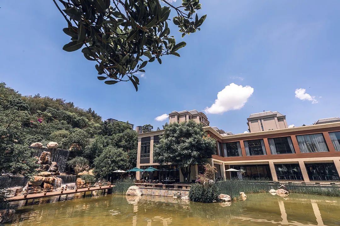 春城晚报