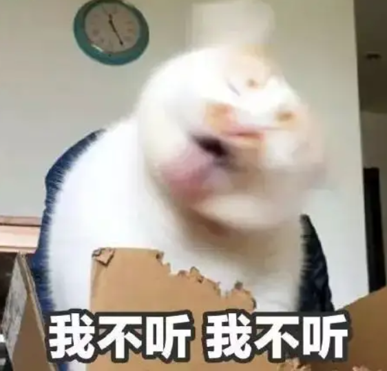 掌上春城