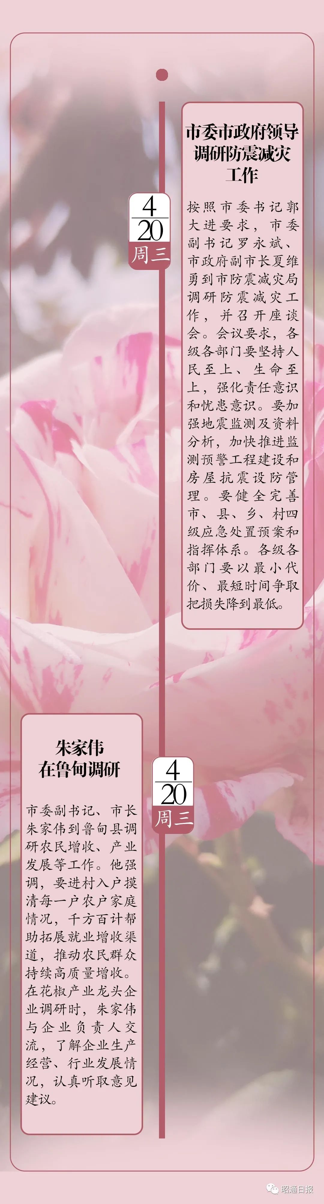 昭通日报