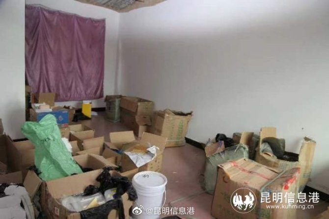 昆明信息港