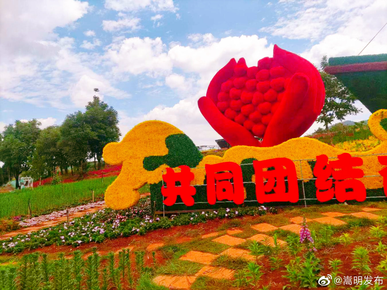 嵩明发布