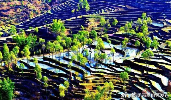 昆明市西山区发布