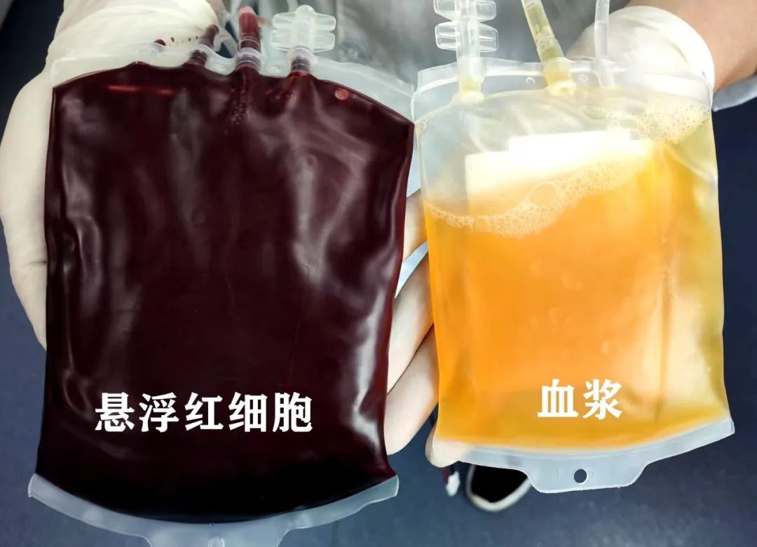 云南昆明血液中心