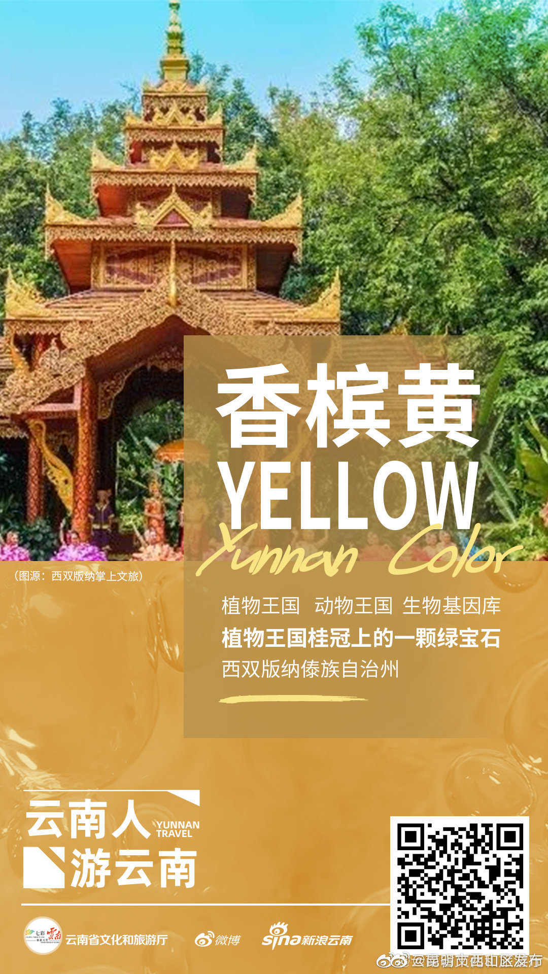 昆明市西山区发布
