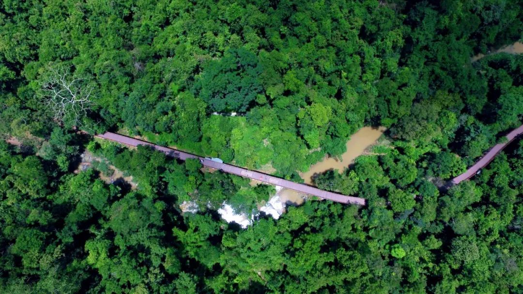 昆明信息港/cnkmxxg