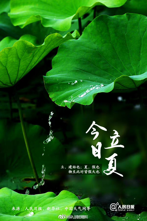 今日立夏，又到夏天啦