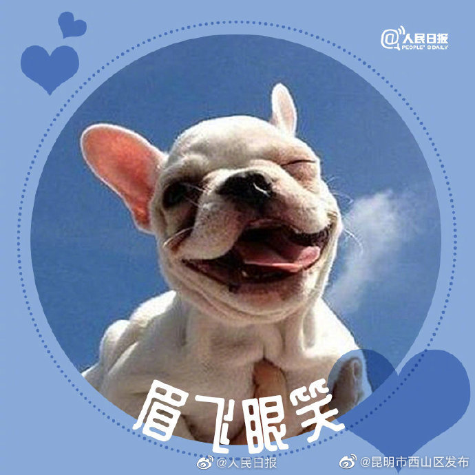 昆明市西山区发布