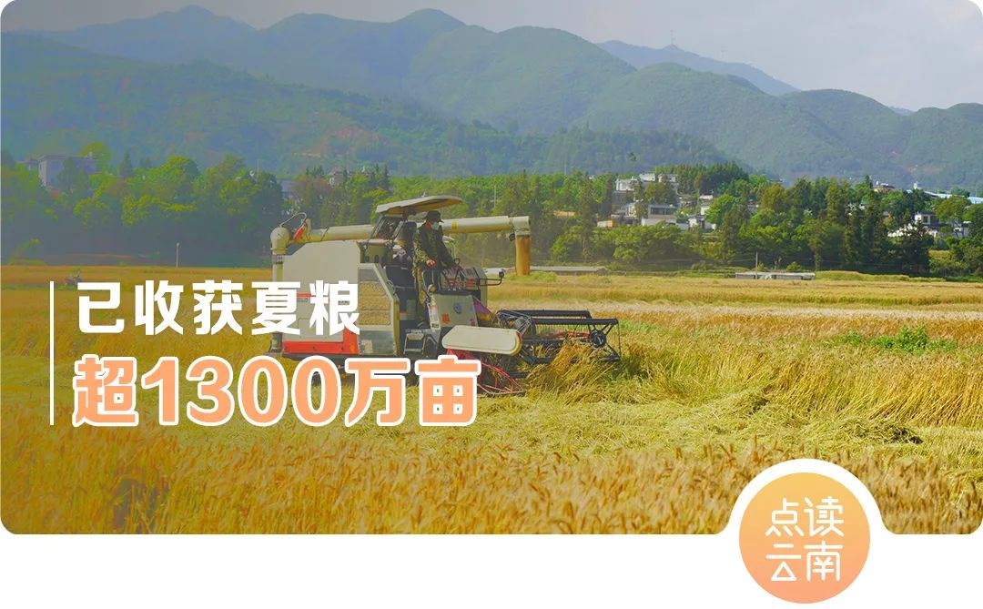 云南省人民政府网