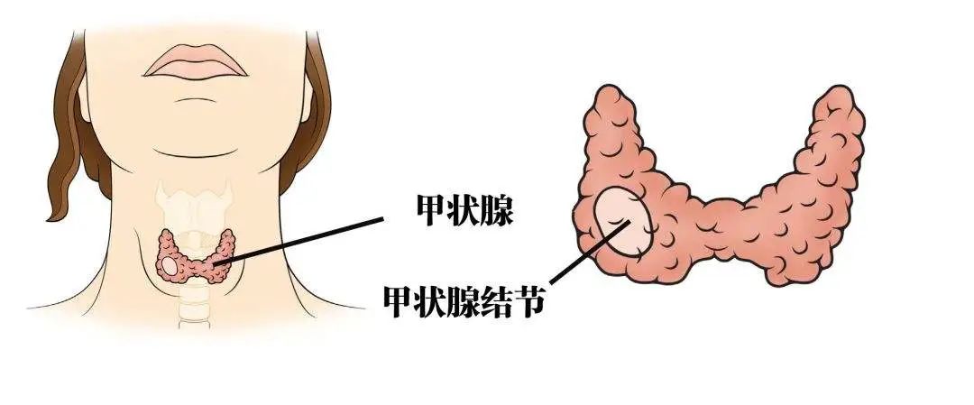 云南省中医医院