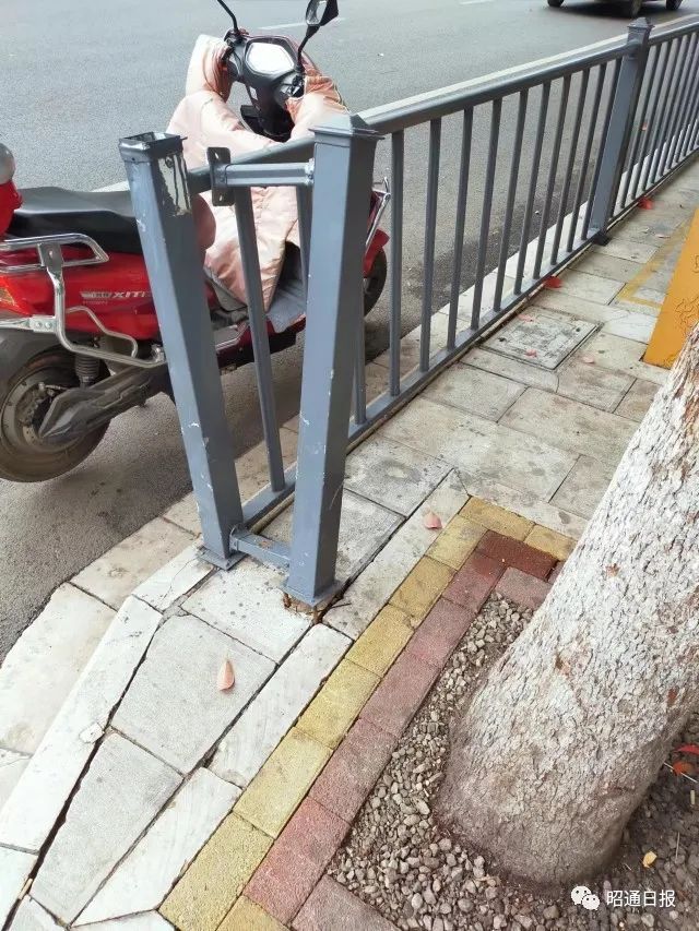 昭通日报