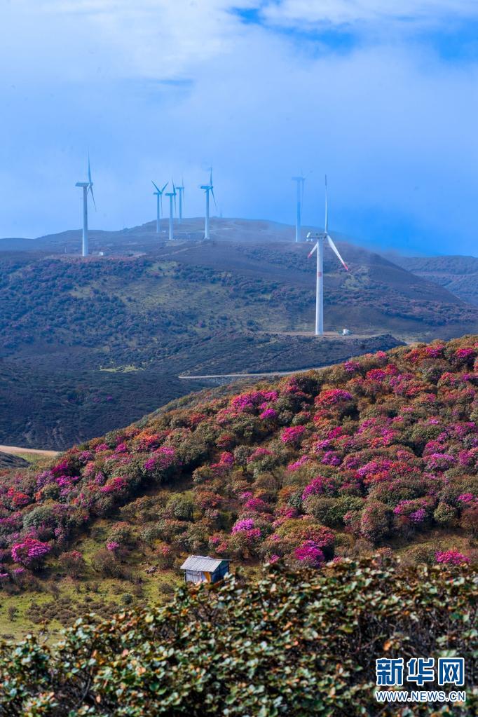 云南省文化和旅游厅