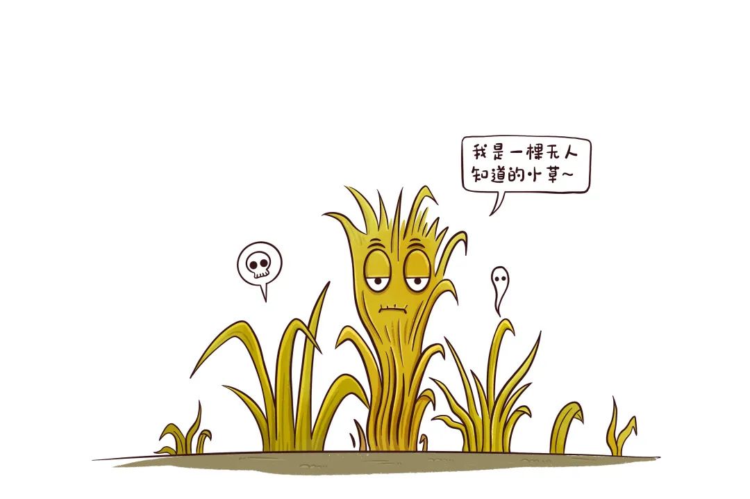 昆明市图书馆