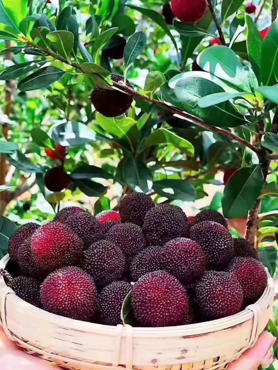 昆明发布