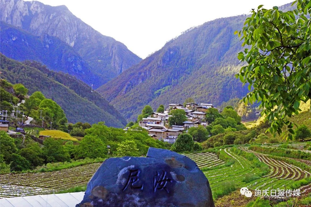 迪庆日报传媒