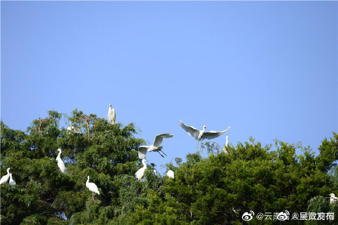 呈贡发布