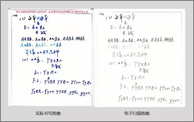 东川教育(微信)