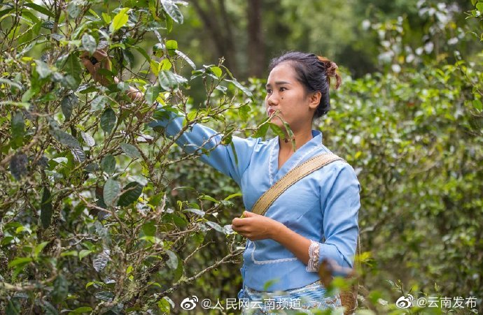 “云南发布”微博