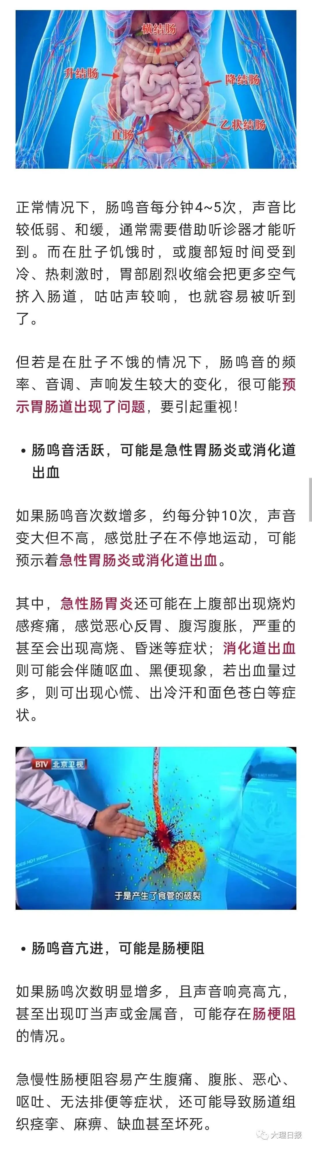 大理日报
