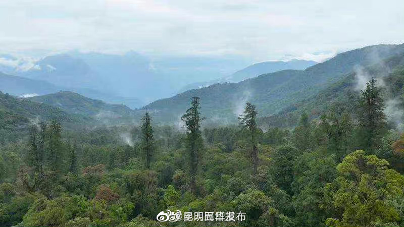 “昆明五华发布”微博