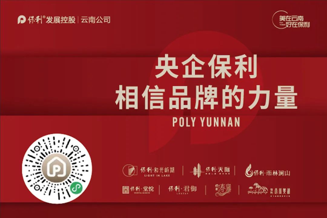 云南信息报