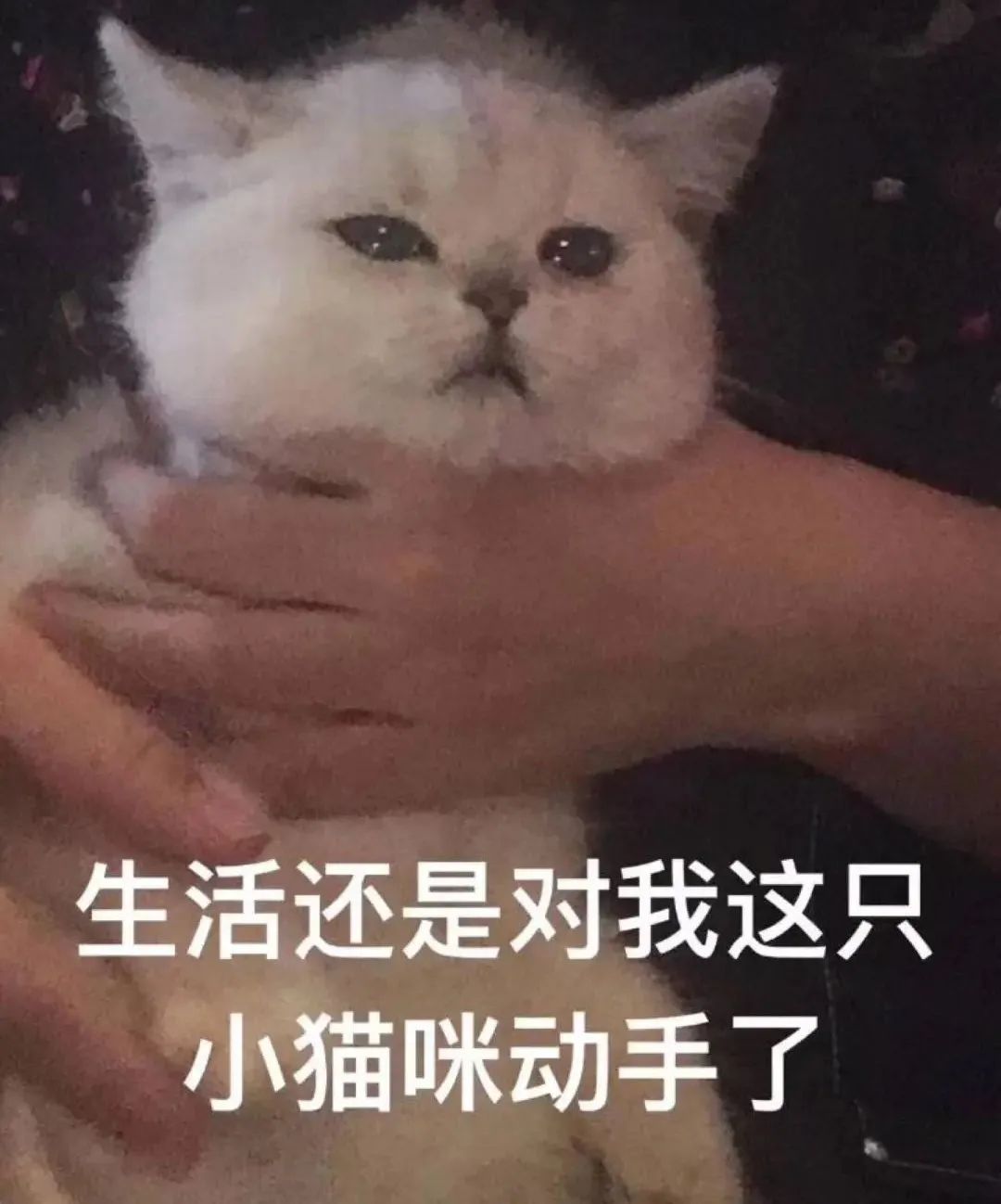 健康腾冲