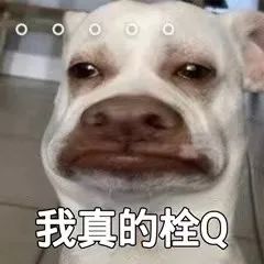 云南法制报