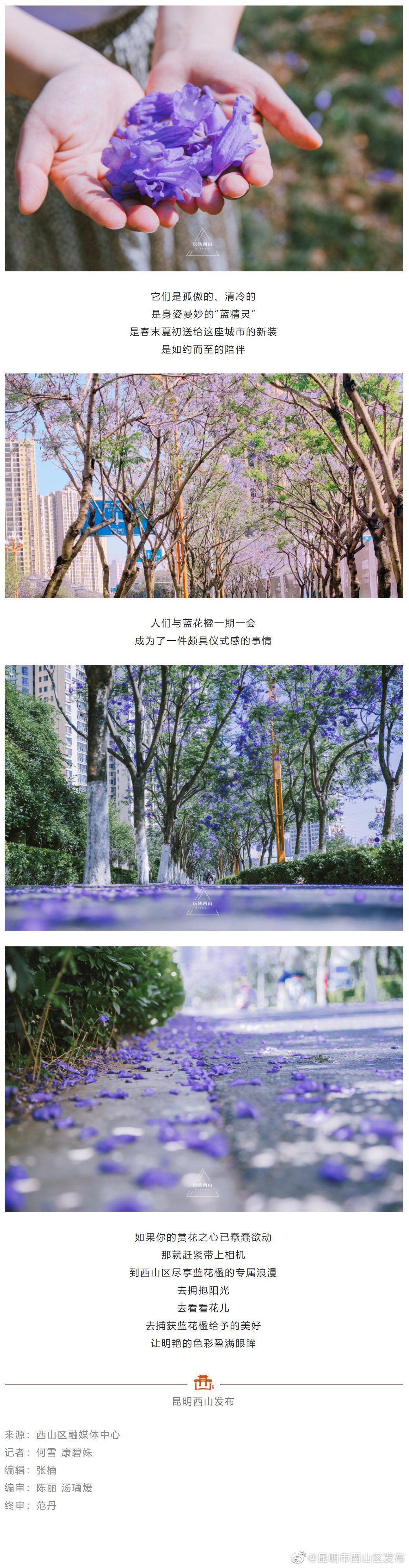 昆明市西山区发布