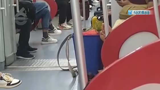 昆明信息港/cnkmxxg