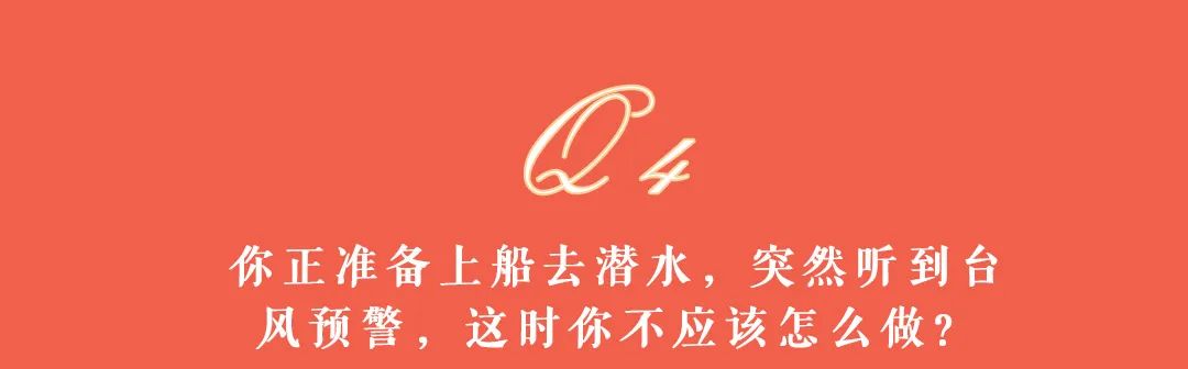 大理日报