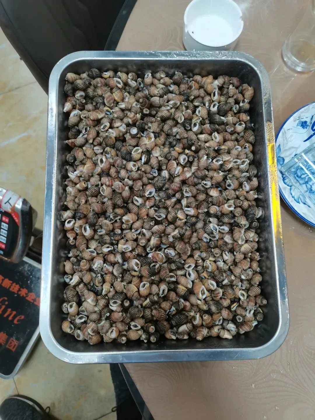 云南法制报