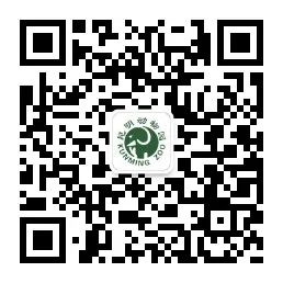 昆明动物园
