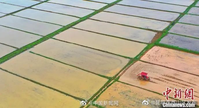 昆明市西山区发布