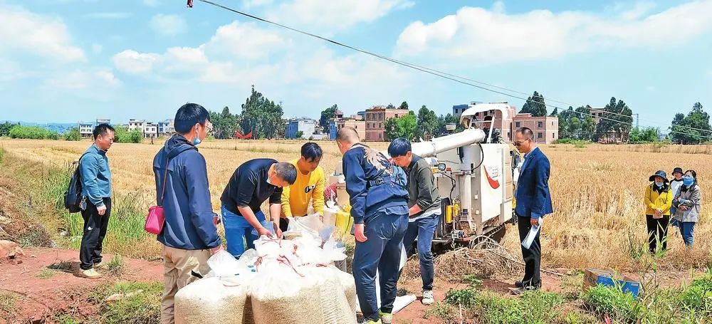 昆明市农业农村局