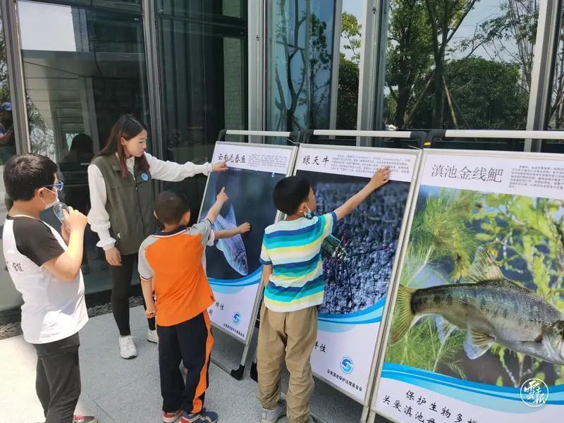 昆明发布