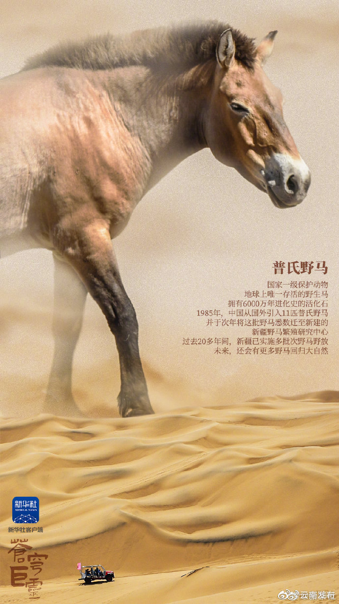 “云南发布”微博