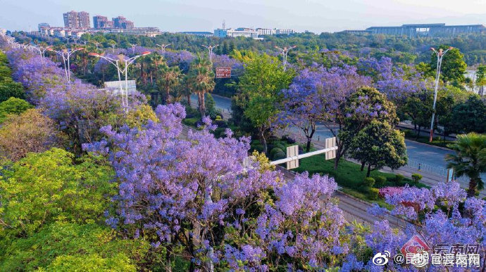 “昆明官渡发布”微博