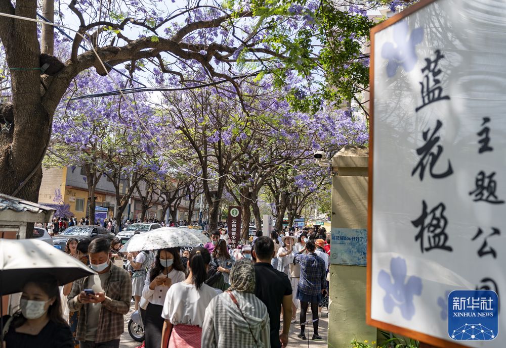 云南省文化和旅游厅