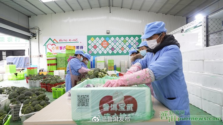 普洱市596.2吨物资共同守“沪”