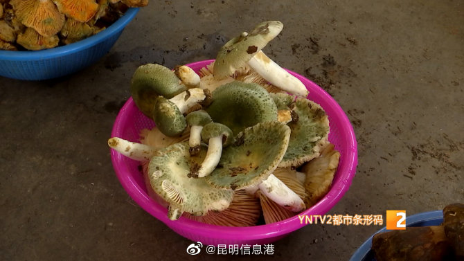 昆明信息港